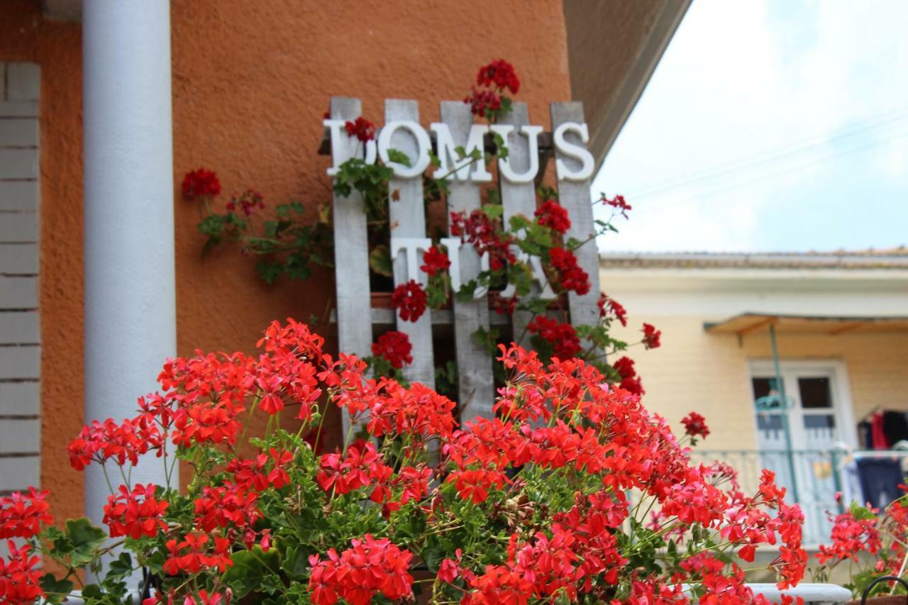Bed and Breakfast Domus Tua Пьетрельчина Экстерьер фото